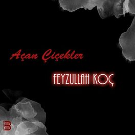Album cover of Açan Çiçekler
