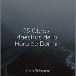 Album cover of 25 Obras Maestras de la Hora de Dormir