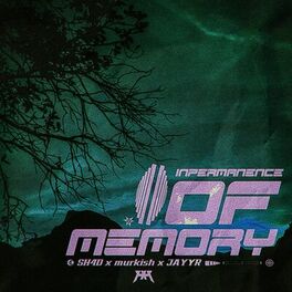 Album cover of Impermanence of Memory (feat. harmony haven)