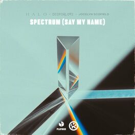 Album cover of Spectrum (Say My Name)