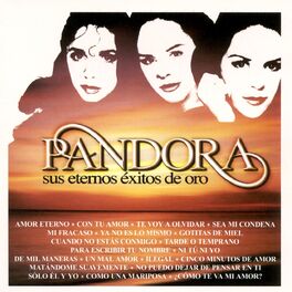 Album cover of Sus Eternos Exitos De Oro