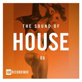 Album cover of The Sound Of House, Vol. 06