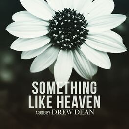 Album cover of Something Like Heaven