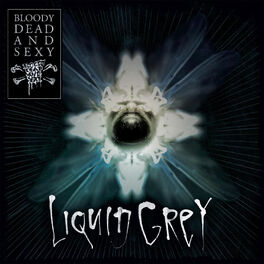 Album cover of Liquid Grey