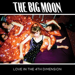 Album cover of Love In The 4th Dimension