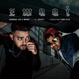 Album cover of Zwaai