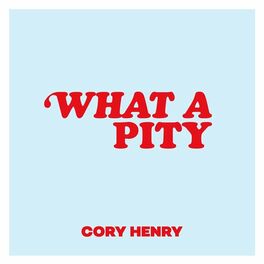 Album cover of What a Pity