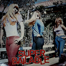 Album cover of Super Bailable Vol. 2
