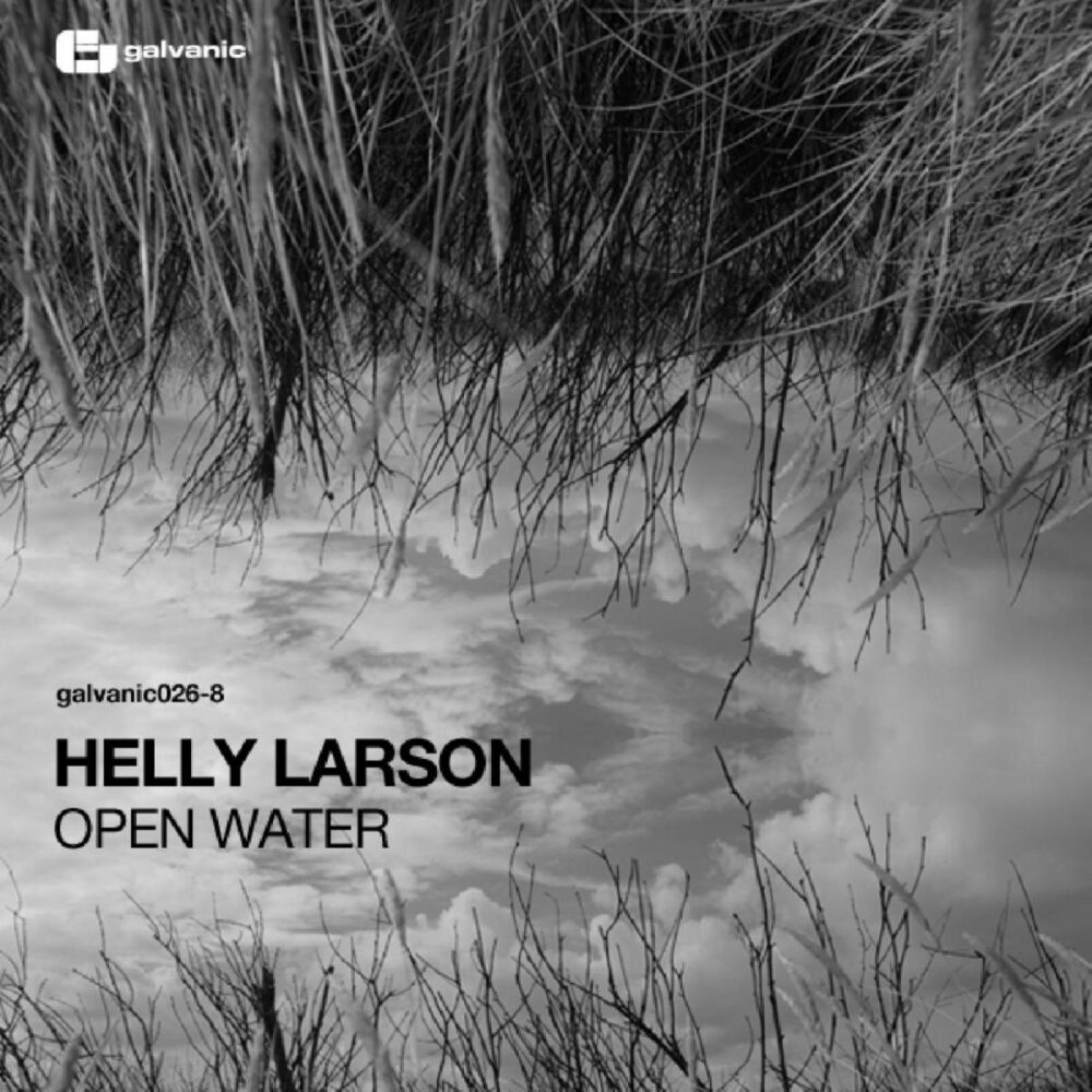 Watered mp3. Helly Larson биография. Miss Disk & Helly Larson - Rain Shadow.