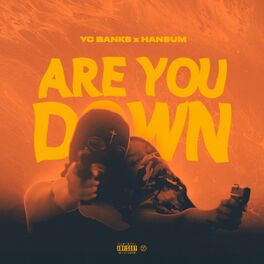 Album cover of Are You Down
