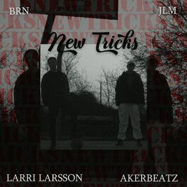 Album cover of NEW TRICKS (feat. LARRI LARSSON & JLM)