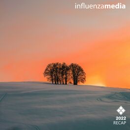 Album cover of Influenza Recap 2022