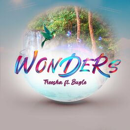 Album cover of Wonders