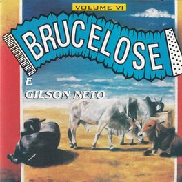 Album cover of Brucelose & Gilson Neto, Vol. VI
