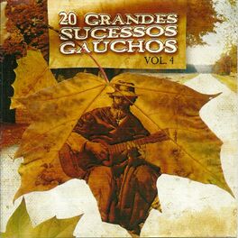 Album cover of 20 Grandes Sucessos Gaúchos Vol. 4