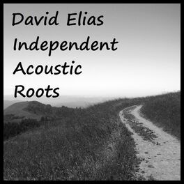 Album cover of Independent Acoustic Roots