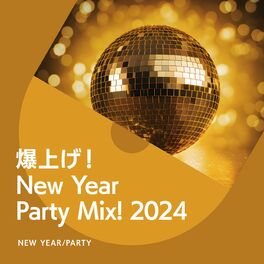 Album cover of New Year Party Mix! 2024
