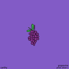 Album cover of grapevine
