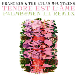 Album cover of Tendre Est l’Âme (Palmbomen II Remix)