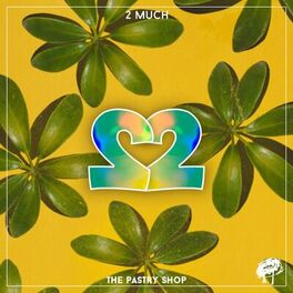 Album cover of 2 Much