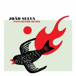 Album cover of Passarinho Remix