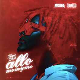 Album cover of Allo Momymo