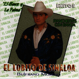 Album cover of Exitos