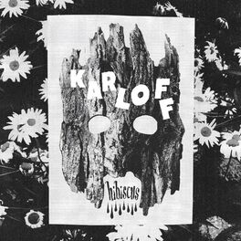 Album cover of Hibiscus