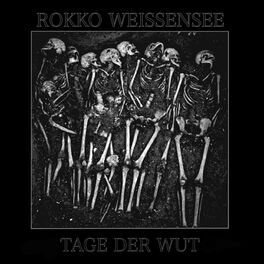 Album cover of Tage der Wut