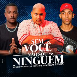 Album cover of Sem Você Não Sou Ninguém (Remix)