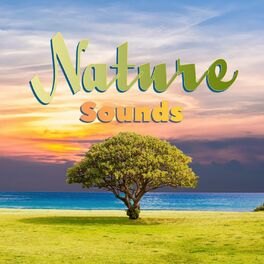 Album cover of Nature Sounds