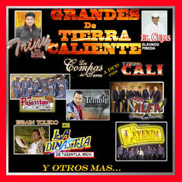 Album cover of Los Grandes de Tierra Caliente