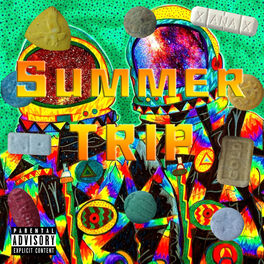 Album cover of Summer Trip