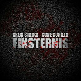Album cover of Finsternis