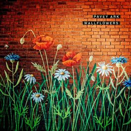 Album cover of Wallflowers