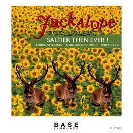Album cover of Saltier Than Ever