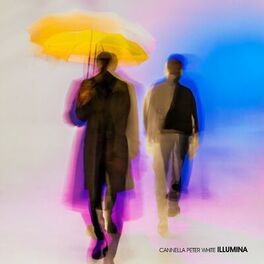 Album cover of Illumina