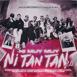 Album cover of Ni Muy Muy Ni Tan Tan RMX