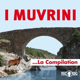 Album picture of I Muvrini, la compilation