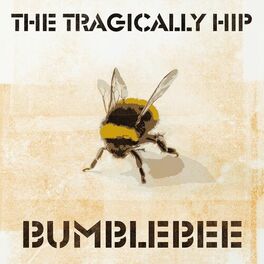 Album cover of Bumblebee