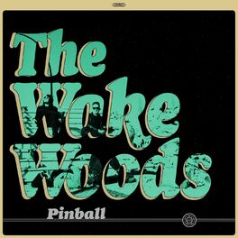 Album cover of Pinball