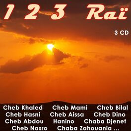 Album cover of 123 Raï, Vol 1 of 3