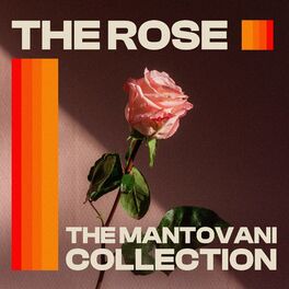 Album cover of The Mantovani Collection - The Rose