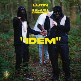 Album cover of IDEM
