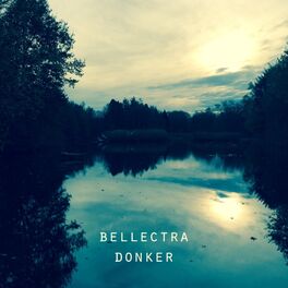 Album cover of Donker