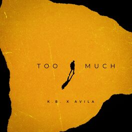 Album cover of Too Much (feat. Avila)
