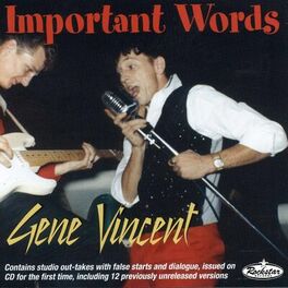 Album cover of Important Words