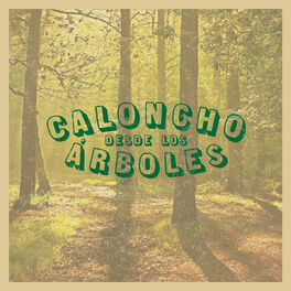 Album cover of Desde Los Árboles (En Directo Desde El Desierto)