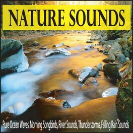 Album cover of Nature Sounds: Pure Ocean Waves, Morning Songbirds, River Sounds, Thunderstorms, Falling Rain Sounds