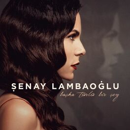 Album cover of Başka Türlü Bir Şey